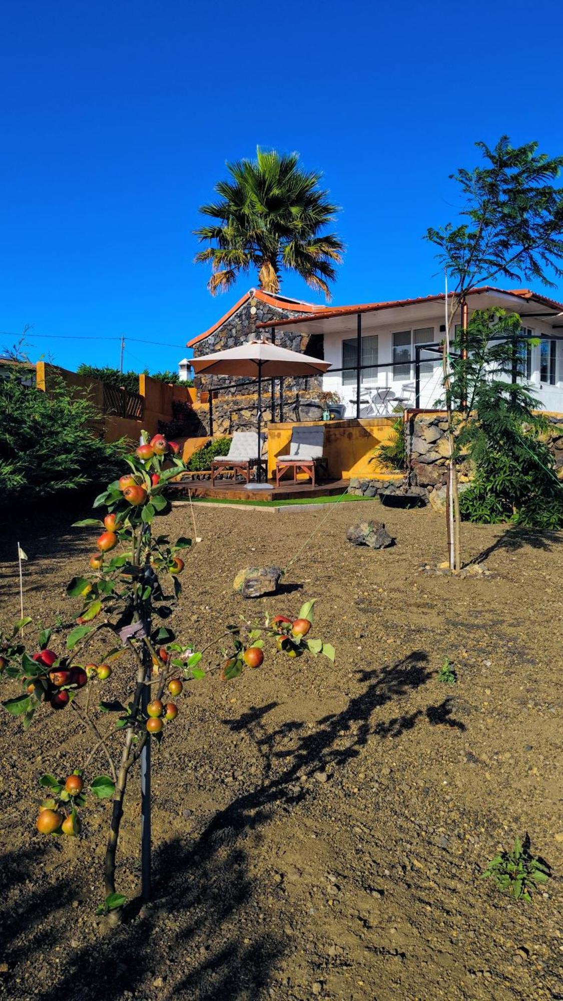 El Sueno: Un Lugar Especial Para Sus Vacaciones Fuencaliente de la Palma Dış mekan fotoğraf